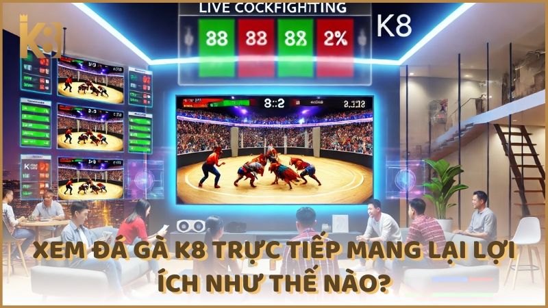 Xem Da Ga K8 Truc Tiep Mang Lai Loi Ich Nhu The Nao (1)